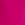 MAGENTA ROSE