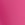 PINK BROMELIAD