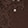 DEEP BROWN